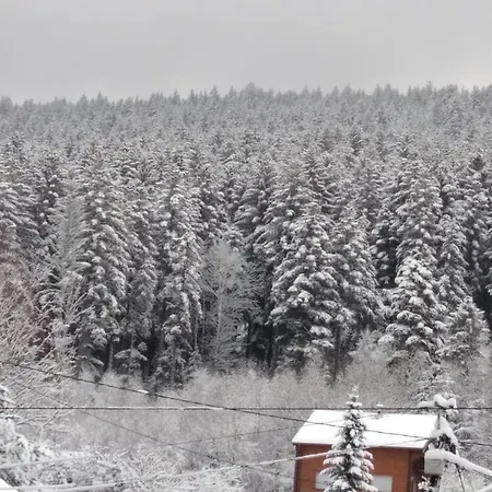 Apartament Chez Josy Gérardmer