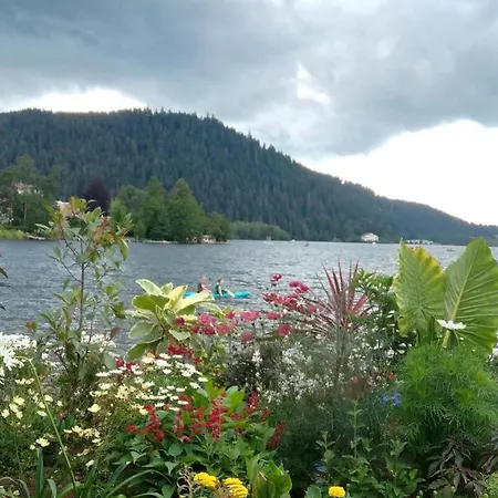 Apartament Chez Josy *