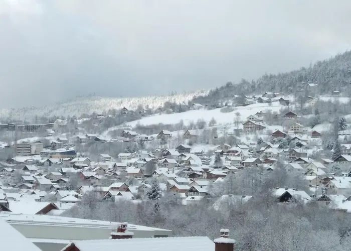 Chez Josy * Gerardmer